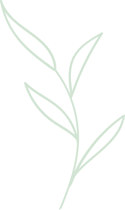 Simple line drawing of a plant.