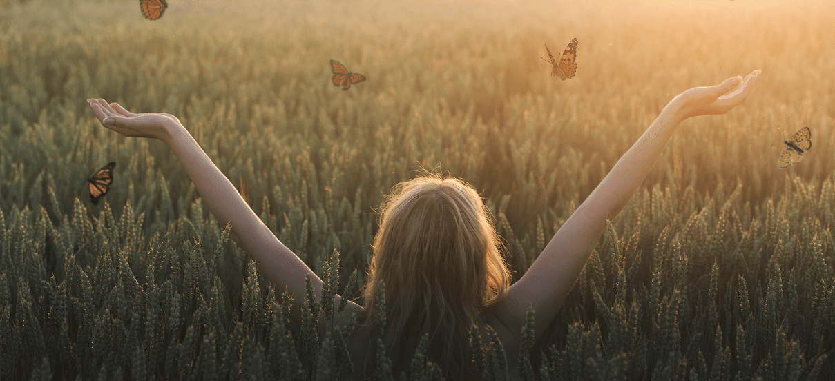 Person in field with butterflies at sunset.